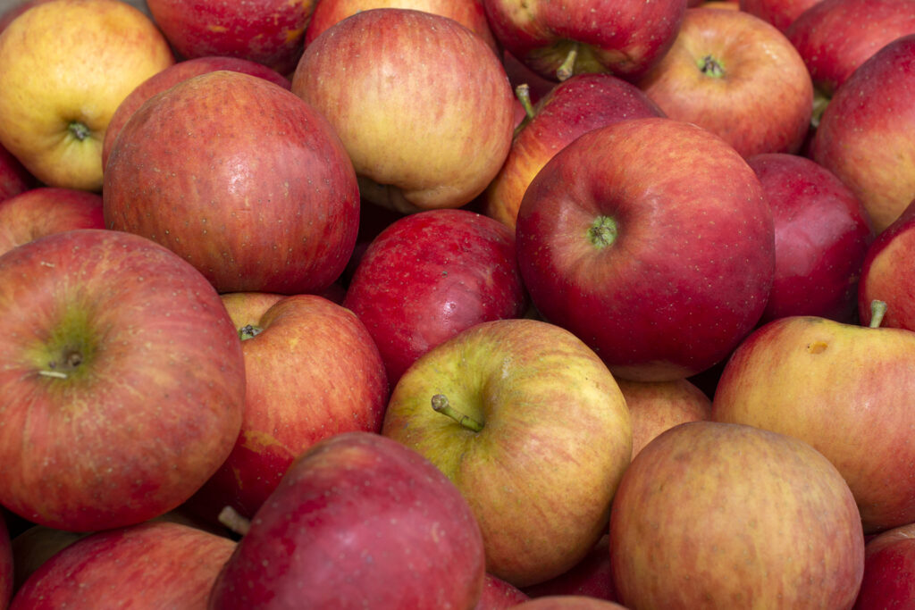 Apfel021