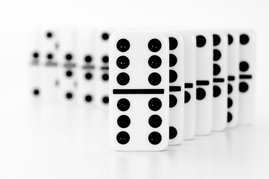 Domino008