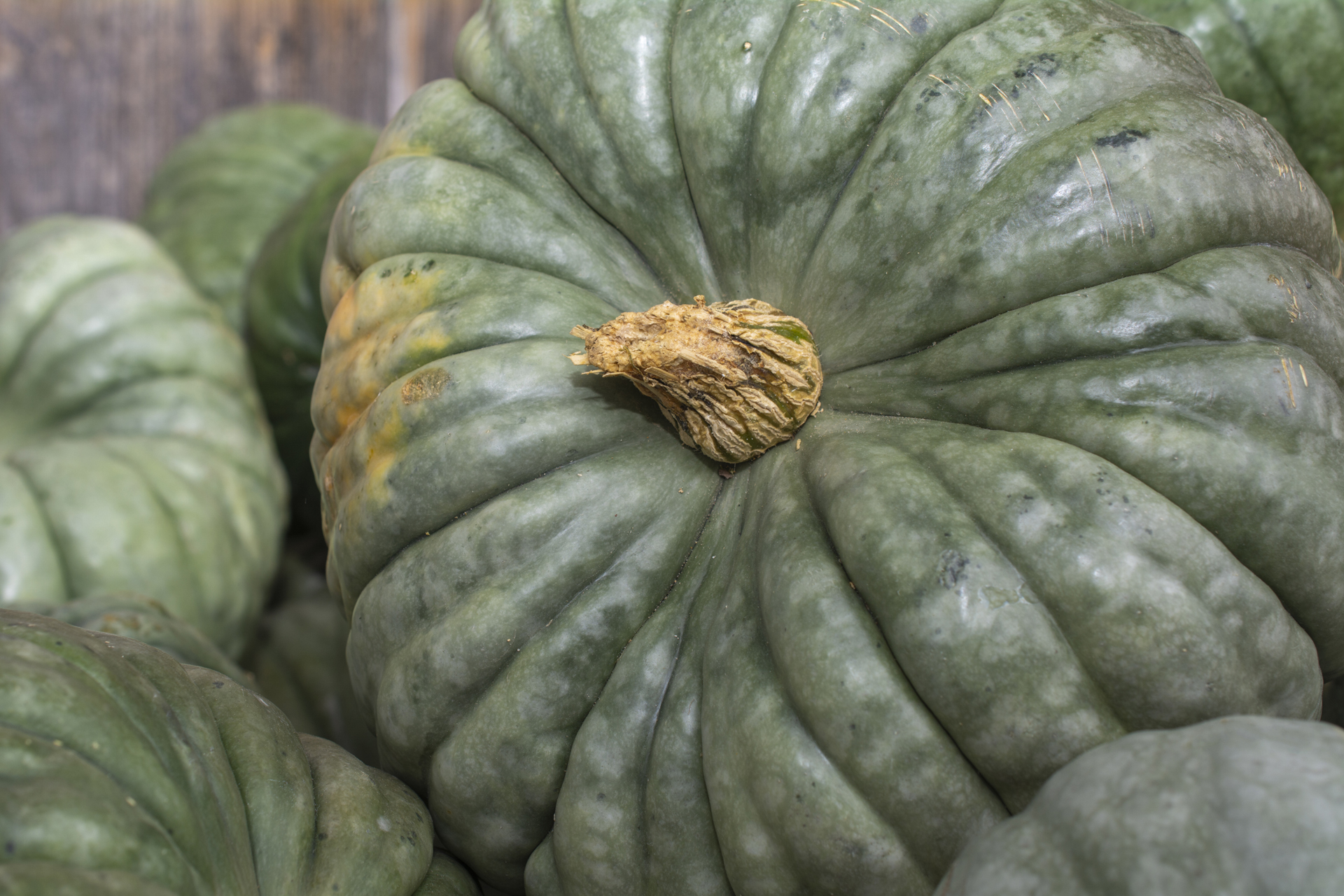 Kürbis0139 Kürbis0139