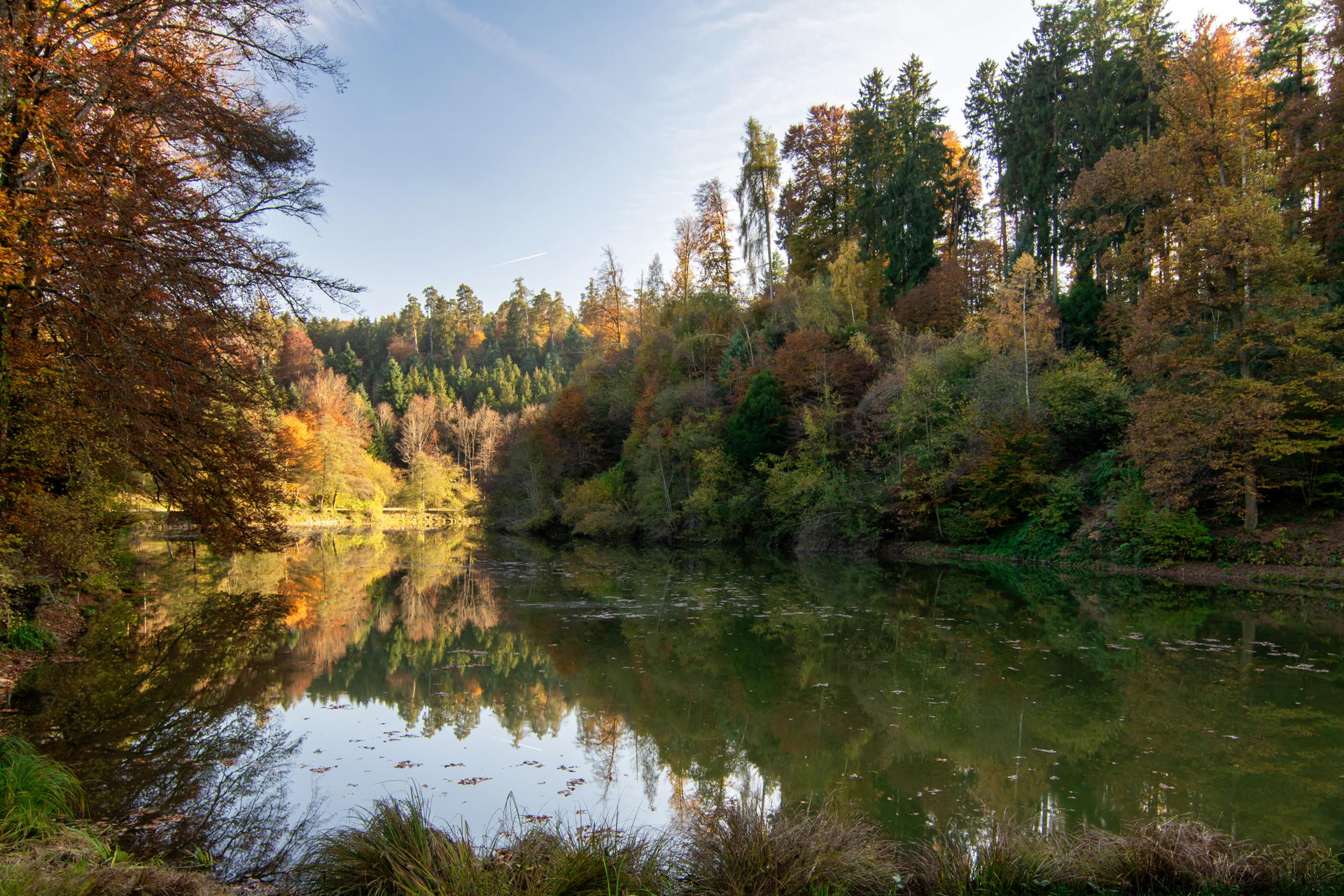 Reidbachhweiher016 Reidbachhweiher016
