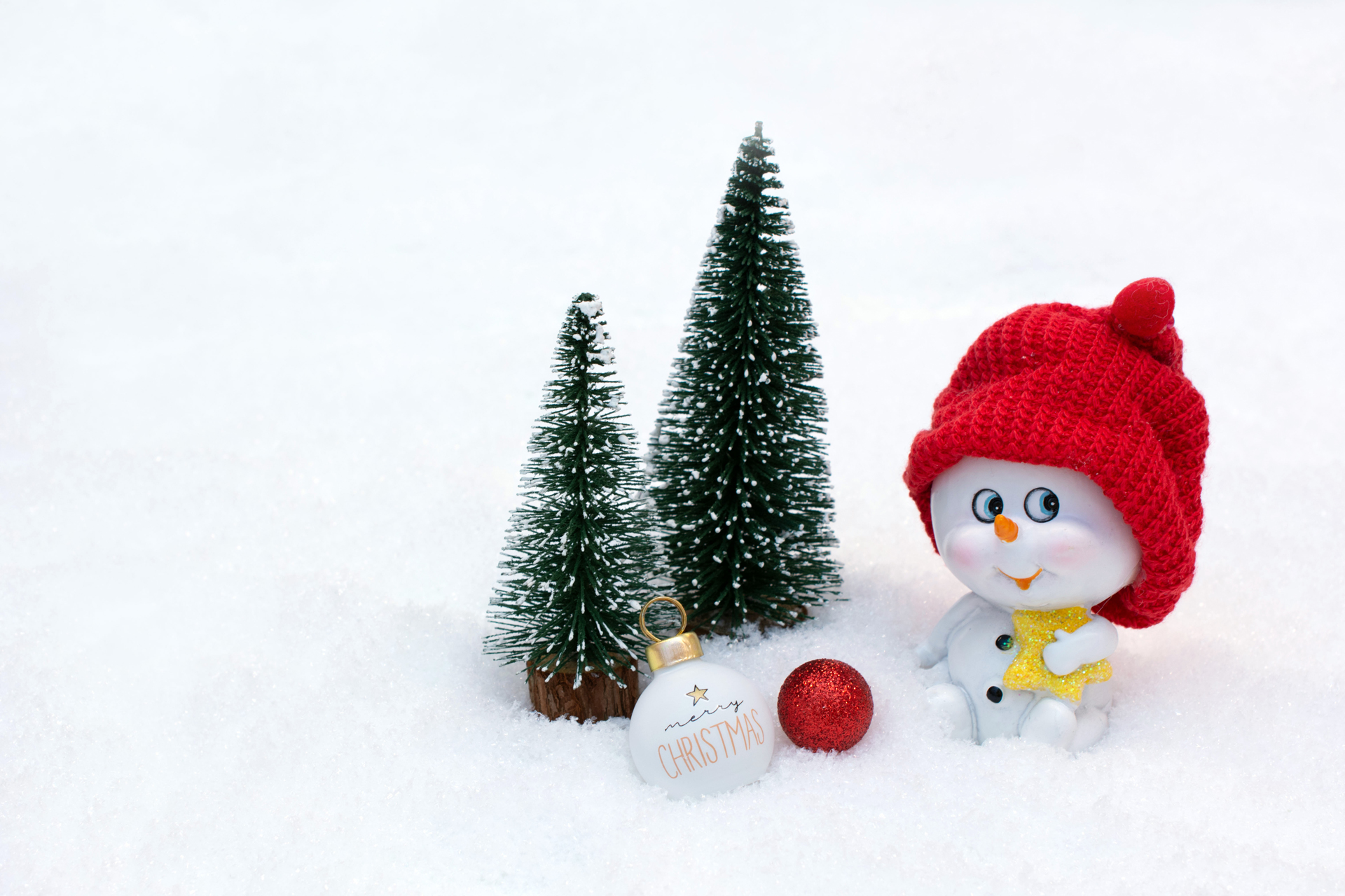 Schneemann010 Schneemann010