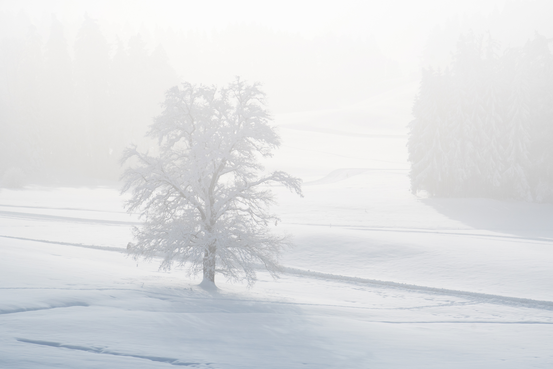 Schönenberg013 Schönenberg013