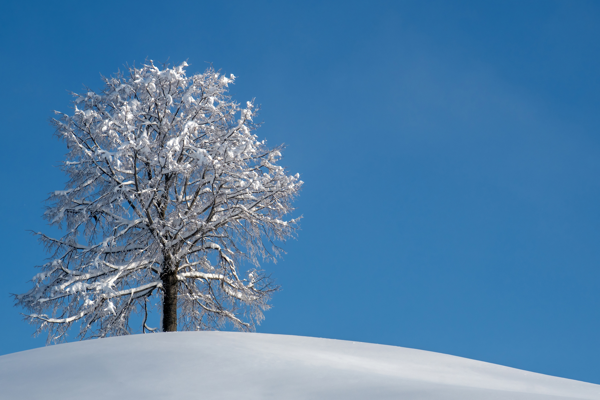 Schönenberg018 Schönenberg018