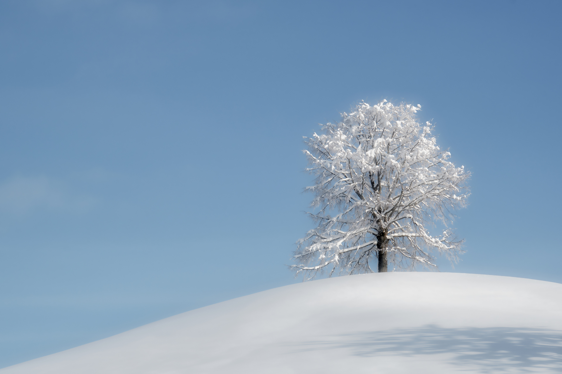 Schönenberg022 Schönenberg022