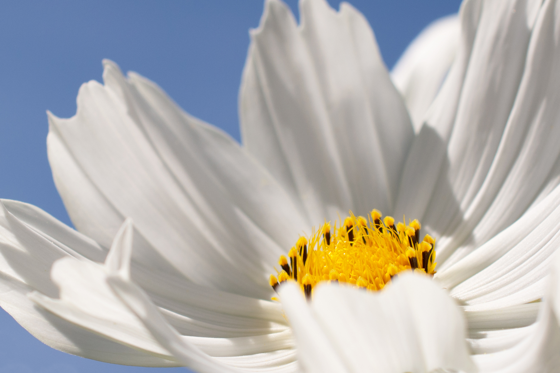 Schuckkörbchen030 Schuckkörbchen030