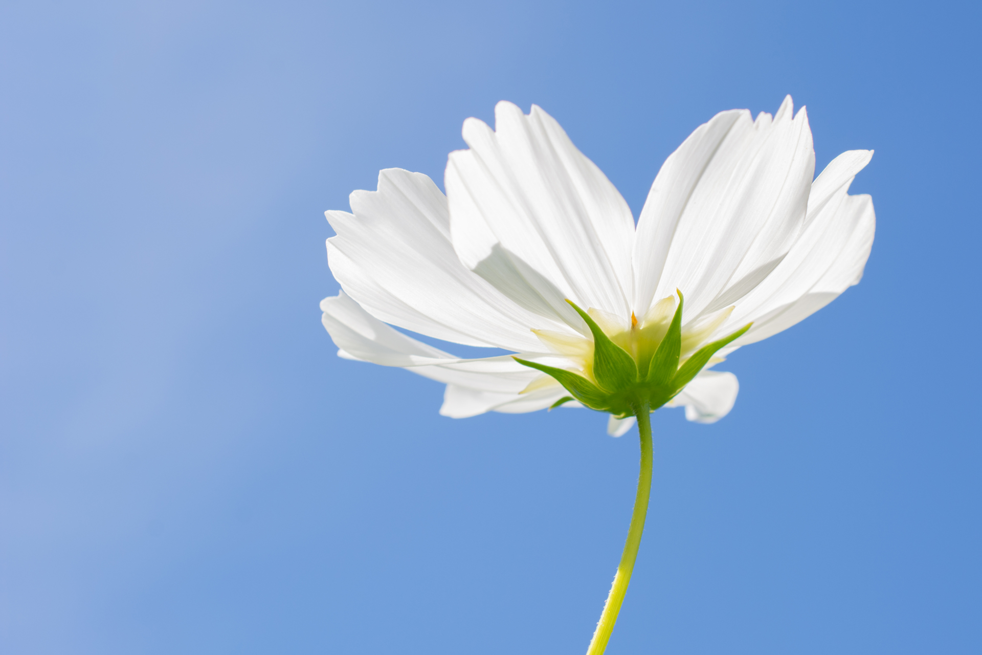 Schuckkörbchen031 Schuckkörbchen031